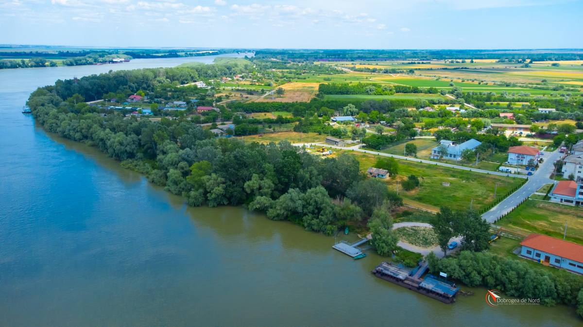 Pardina