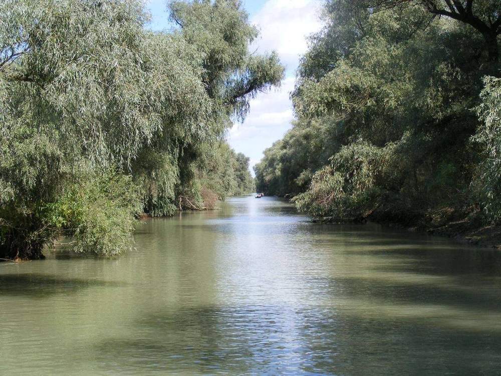 Uzlina
